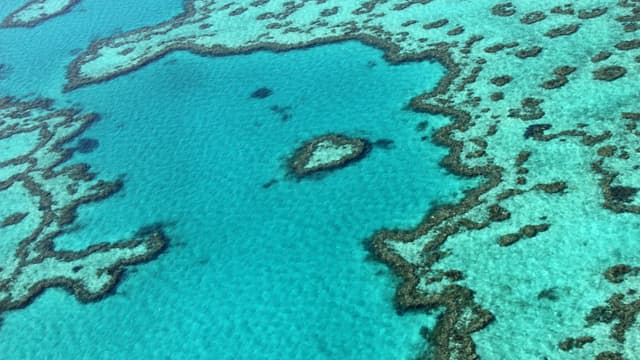 La Grande barrière de corail (photo d'illustration)