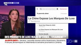 LE CHOIX D'AMÉLIE - Sur Tiktok, les fabricants chinois prétendent révéler les "secrets du luxe" pour mieux vendre leurs contrefaçons