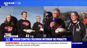 "Cette taille là pour vivre, c'est indécent": le coup de gueule de Nagui sur BFMTV contre l'élevage intensif de poulets