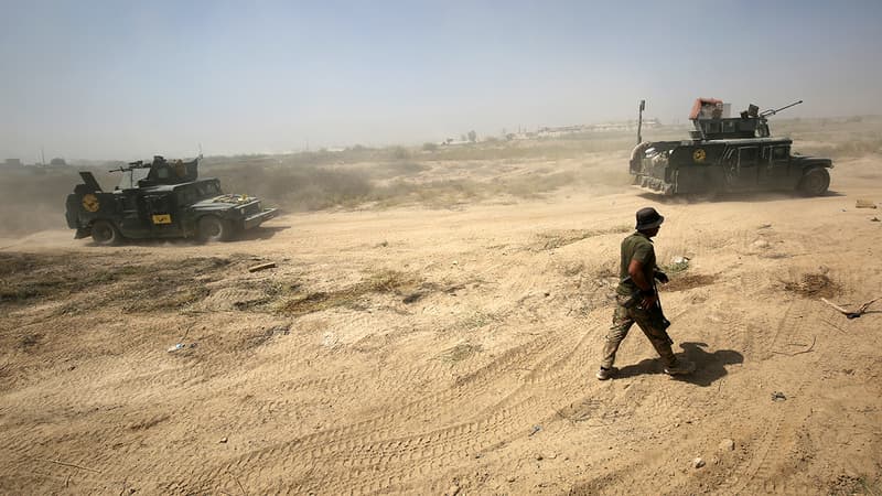 Les forces irakiennes face à Daesh, dans la province de Falloujah (juin 2016)