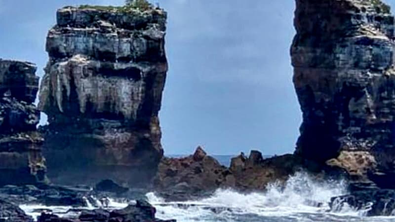 L'Arche de Darwin après l'effondrement