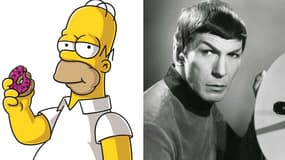 Spock le rationnel et Homer l'émotionnel, voilà les 2 parties du cerveau humain et les économistes ont tendance à traiter la première plus que la seconde.