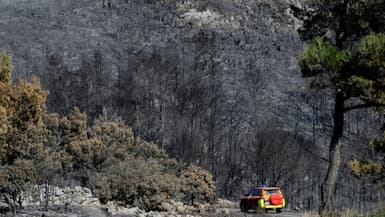 Des pompiers circulent dans une forêt dévastée par les flammes, le 8 août 2025 dans l'Aude