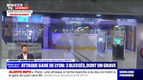 Attaque à la gare de Lyon: le profil de l'assaillant 