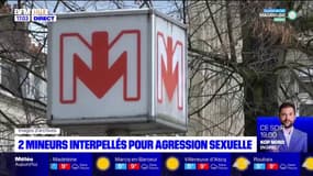 Lille: deux mineurs interpellés pour agression sexuelle dans le métro
