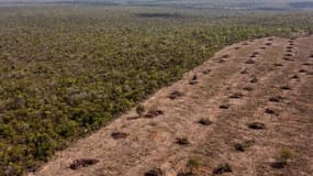 La déforestation dans l'ouest de l'État de Bahia, au Brésil, le 25 septembre 2023. 