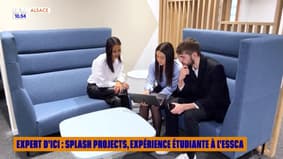 Expert d'ici : Splash Projects, expérience étudiante à l'Essca