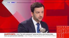 Retraites: Jean-Philippe Tanguy "espère que le Conseil constitutionnel va reconnaitre la légitimité" du référendum d'initiative partagée 