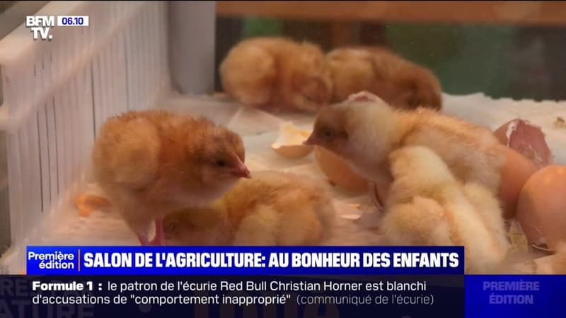 Salon de l'agriculture: le bonheur des enfants devant les stands animaliers