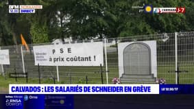  Calvados: les salariés de l'usine Schneider Electric en grève