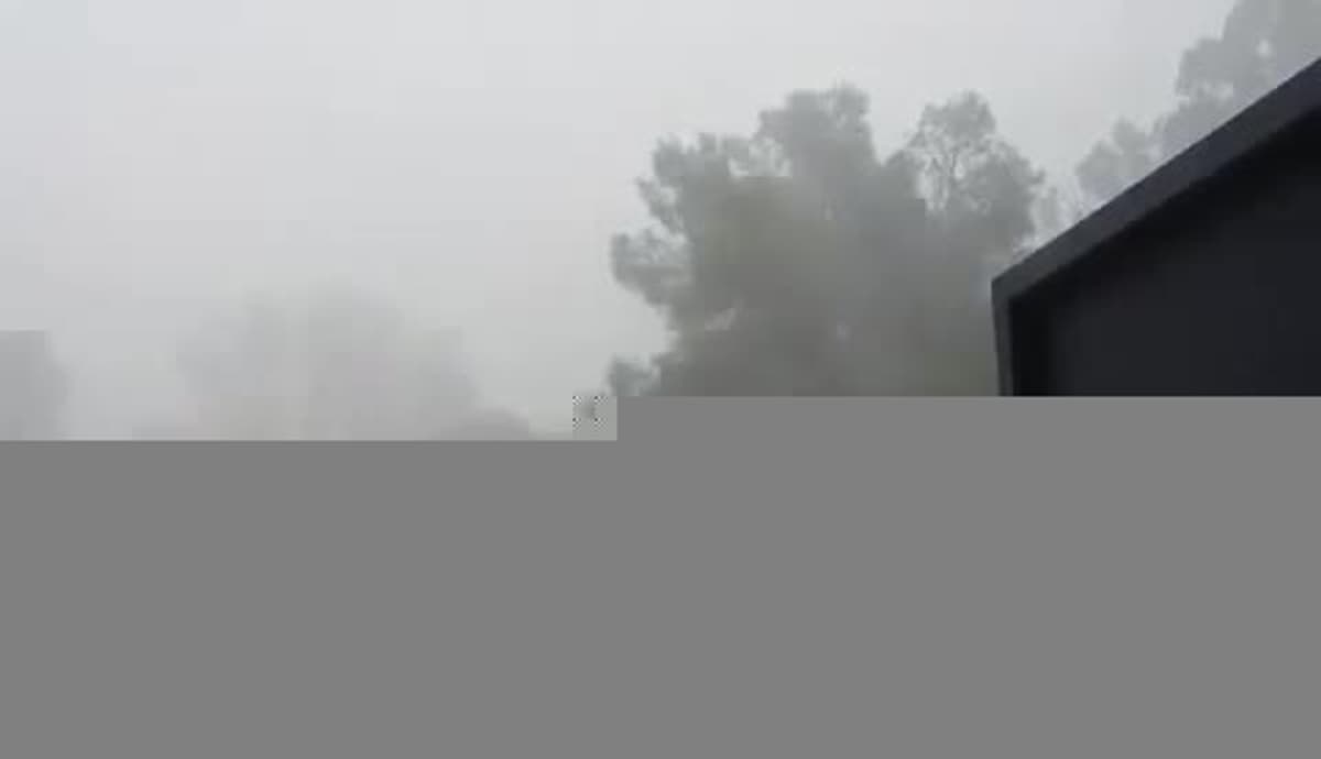 placeholder video