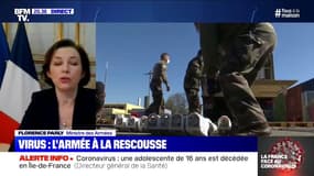 Florence Parly (ministre des Armées): "L'objectif c'est de pouvoir agir pour aider, pour soutenir, pour protéger les Français"