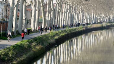 Le canal du Midi à Toulouse en 2014 (image d'illustration)