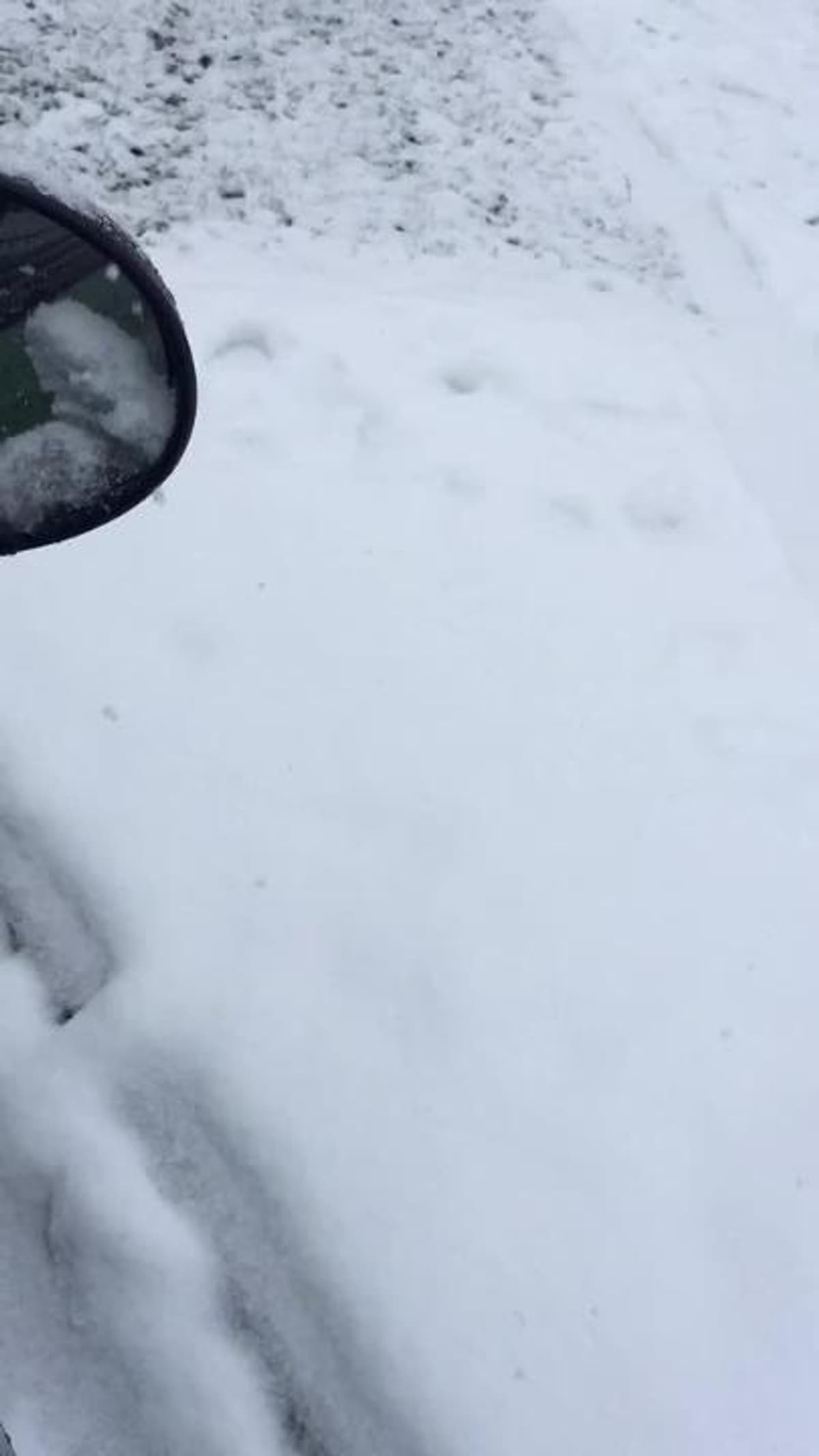 placeholder video