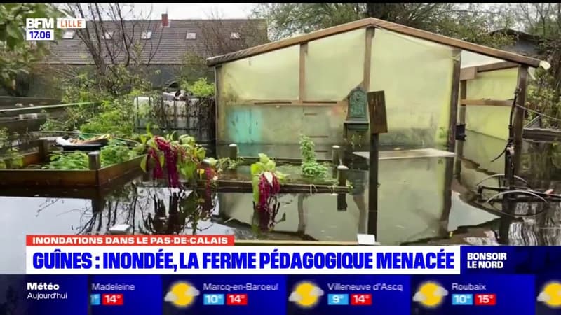 Pas-de-Calais: inondée, la ferme pédagogique de Guînes est menacée