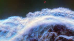 Détail de la nébuleuse de la Tête de cheval capté par le télescope James Webb et dévoilé en avril 2024