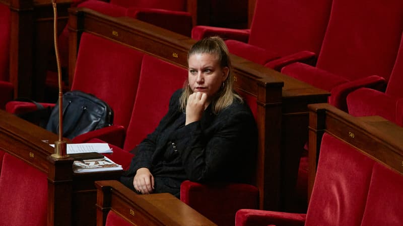 Nationaliser ArcelorMittal? LFI espère déjouer "l'obstruction massive du RN" pour obtenir des victoires à l'Assemblée