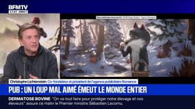 Pub Intermarché: "Il y a plus d'une centaine de personnes qui ont travaillé sur le projet pendant plus d'un an", explique Christophe Lichtenstein, co-fondateur et président de l'agence publicitaire Romance