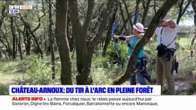 Château-Arnoux: du tir à l'arc en pleine forêt
