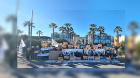 Des militants de One Voice manifestant devant le Marineland d'Antibes, le 15 février. 