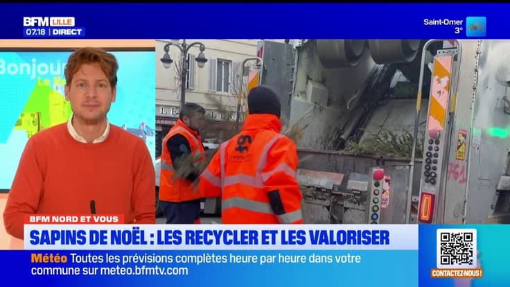 BFM Nord et vous: recycler et valoriser son sapin de Noël