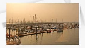 Le port de Roscoff (Finistère) le 19 août 2024