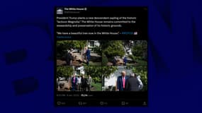 Donald Trump a planté ce mardi 8 avril un arbre dans les jardins de la Maison Blanche.