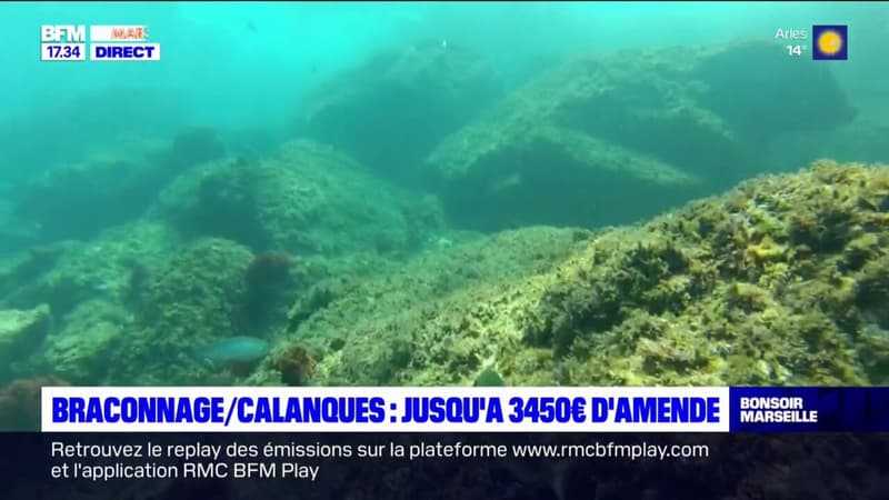 Marseille: amendes pour les pêcheurs braconniers des Calanques