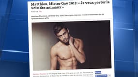 Matthieu Chartraire a été élu Mister Gay 2015 par les internautes du magazine Têtu.
