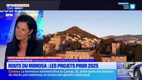 Côte d'Azur Découvertes du jeudi 25 janvier - Route du mimosa : les projets pour 2025