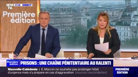 "Les malinois sont des chiens particuliers": Hélène Gateau, vétérinaire et journaliste, sur les différentes caractéristiques des malinois