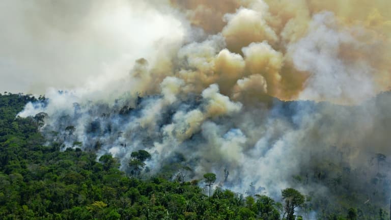 quase 3 mil incêndios na Amazônia, recorde para o mês de fevereiro