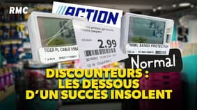 Discounteurs : les dessous d'un succès insolent