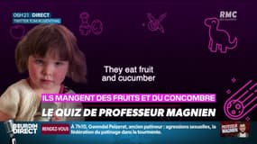 Pourquoi la petite Fenn, 3 ans, est-elle devenue une star sur Internet ? ... Relevez le quiz du Président Magnien ! - 03/02