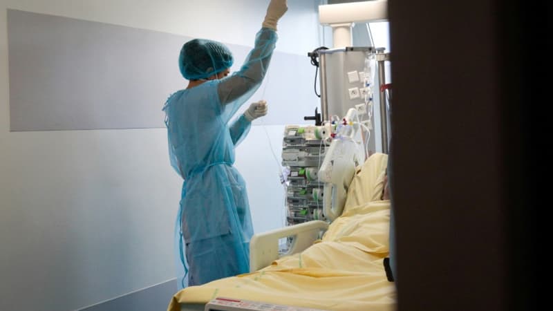 les contaminations en baisse, les hospitalisations atteignent un plateau