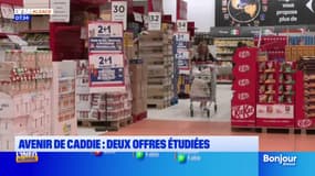 Alsace: deux offres de reprise du fabriquant Caddie étudiées