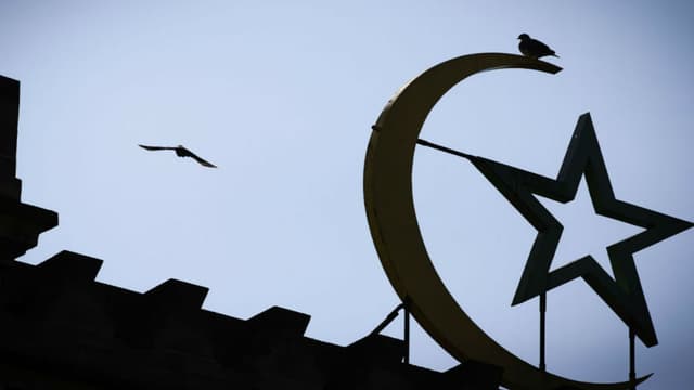 Un oiseau survole la Grande Mosquée de Paris.
