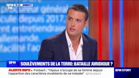 Dissolution des Soulèvements de la Terre: "Ce sont des gens radicalisés qui considèrent que ce qu'ils proposent doit passer au-dessus de la loi", pour Aleksandar Nikolic (RN)