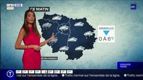 Météo Paris-Ile de France du 30 janvier : Un ciel couvert et de basses températures