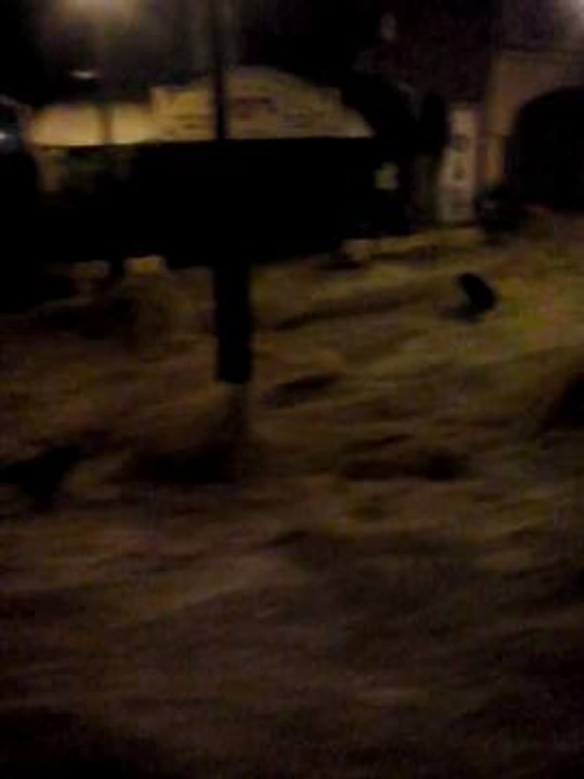 placeholder video