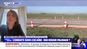 Pierre Palmade risque jusqu'à 7 ou 10 ans de prison, selon cette avocate de victimes de la route