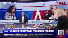 Présidentielle américaine 2024 : sprint final pour Trump et Harris - 02/11