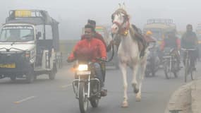 Sur une route en plein smog à Amritsar dans le nord-ouest de l'Inde, le 12 novembre 2017