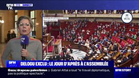 Film sur Gaza diffusé à l'Assemblée: "On peut avoir des positions de fermeté, aller vers la paix, sans avoir besoin de voir les cadavres", estime Sandrine Rousseau (Les Écologistes)