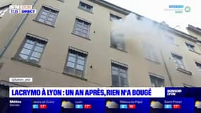 Lyon : elle reçoit une grenade lacrymogène dans son appartement, sa plainte classée sans suite