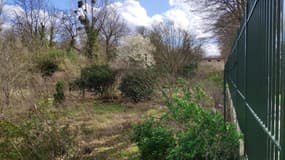 La Fondation du Patrimoine a annoncé la création de jardins pollinisateurs dans le Parc de la Poudrerie, d'ici décembre 2022.
