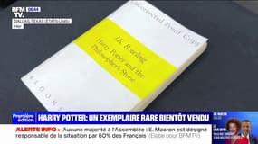 Un exemplaire non corrigé du premier tome de Harry Potter mis aux enchères