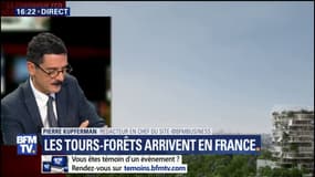 Des tours forêts écologique avec vue sur Paris. 