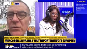 Mercosur: "Ce serait un véritable échec que cet accord ne soit pas signé", assure Patrick Martin-Genier, spécialiste des questions européennes