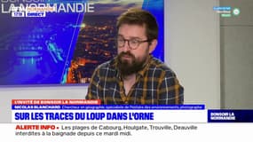 Orne: Nicolas Blanchard retrace l'implantation historique du loup dans le département